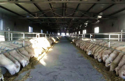 北园春集团进军水产养殖、多胎羊繁育项目助推企业多元化发展